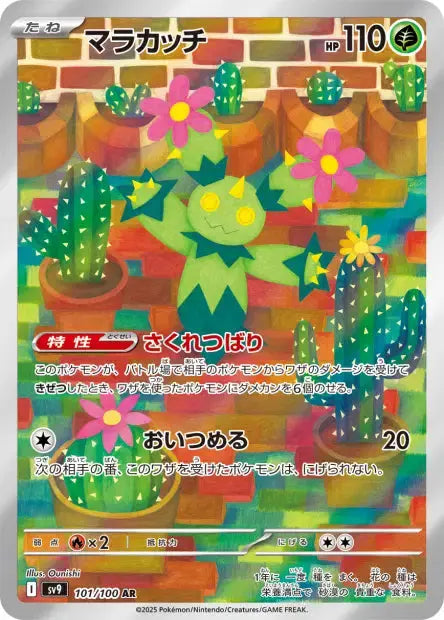 Maracachi 101/100 KR Pikadisplay