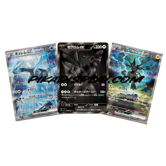 Display Pokémon Black bolt sv11b coreen PIKADISPLAY