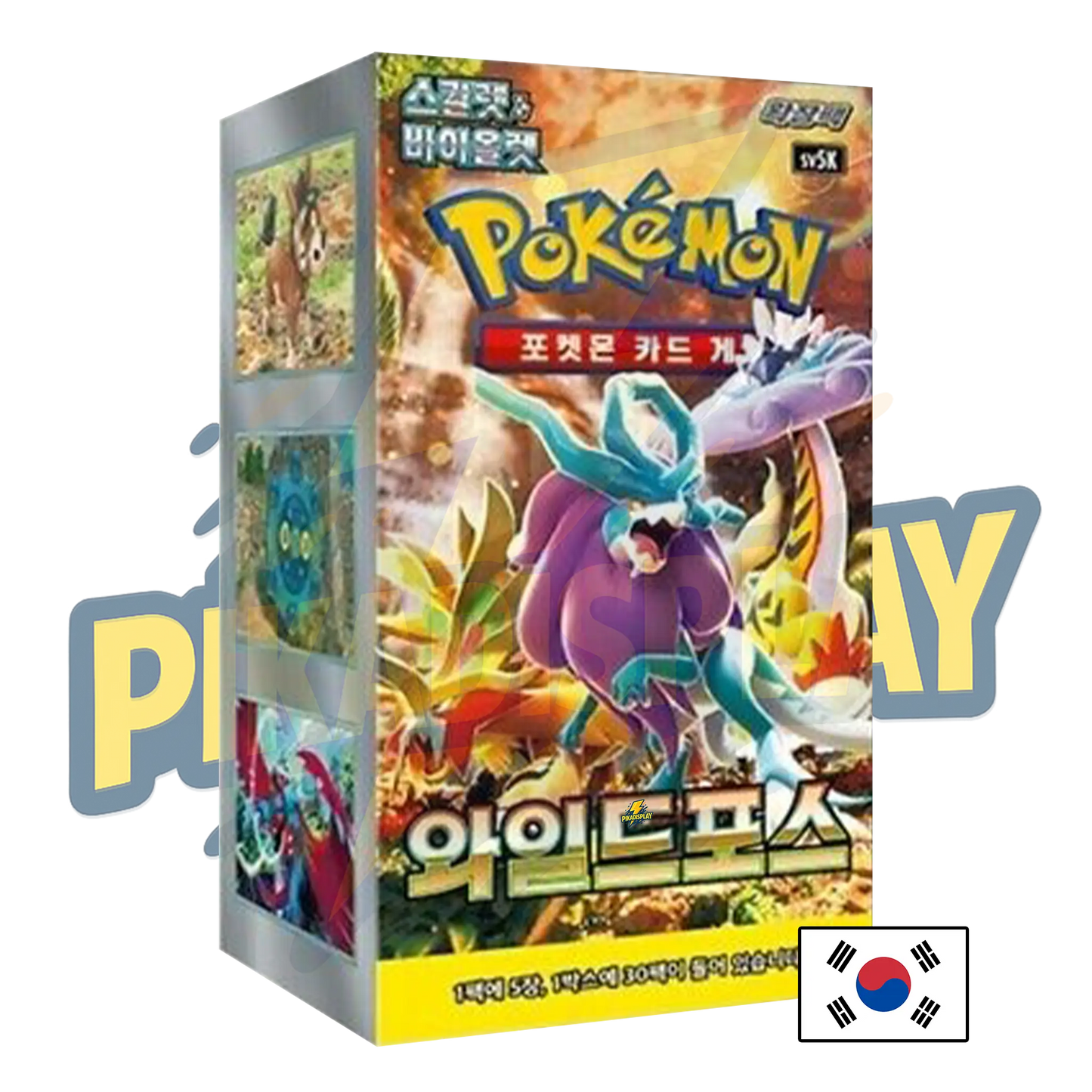 Display Pokémon coréen PIKADISPLAY