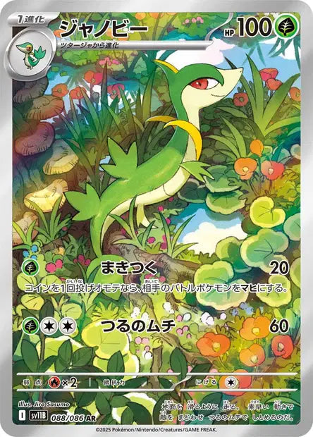 Lianaja AR 088/086 Coréen PIKADISPLAY
