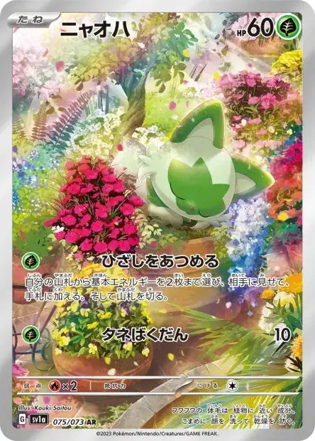Poussacha 075/073 KR Pikadisplay