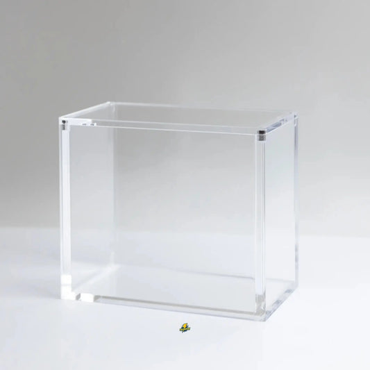 Protection display pokemon PIKADISPLAY